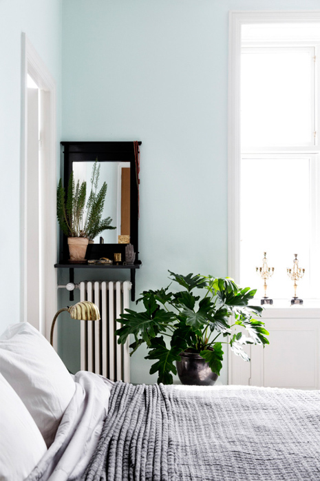 baby blue-2