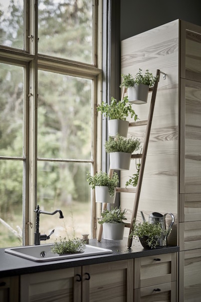 ikea-plant-stands-new-satsumas-2-gardenista-e1454356598718
